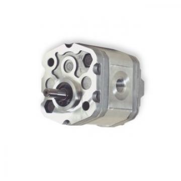 MINI Micro Cilindro Idraulico Valvola Pompa rodseal Cavatappi strumento di rimozione di imballaggio